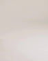 white mens low top sneakers